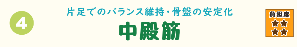 下り階段で負担がかかる筋肉 第4位：安定した歩行に重要な筋肉、中殿筋の役割を説明するバナー