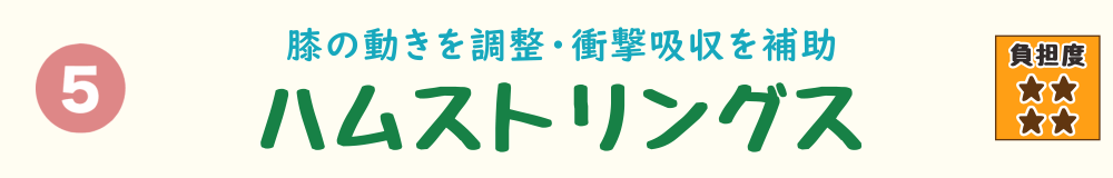 下り階段で負担がかかる筋肉 第5位：ハムストリングス（太ももの裏の筋肉群）を紹介するバナー