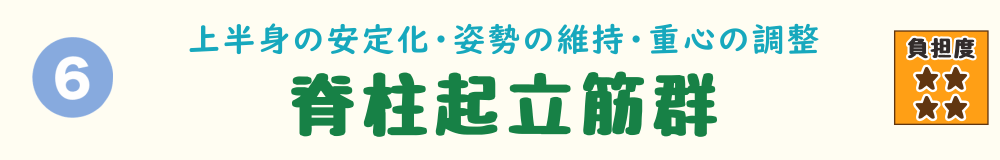 下り階段で負担がかかる筋肉 第6位：脊柱起立筋群（姿勢を支える背中の筋肉）の説明バナー