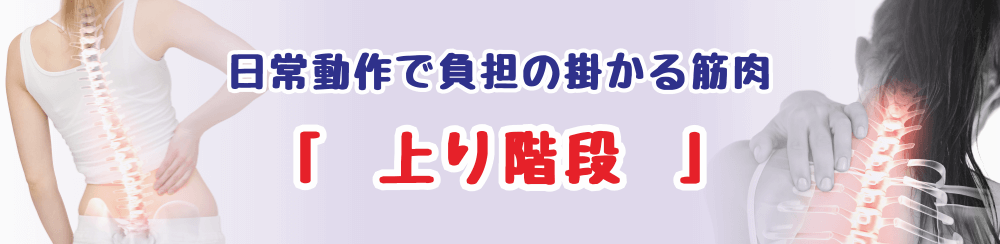 上り階段で負担がかかる筋肉を解説し、セルフケア方法を紹介するページのタイトル画像