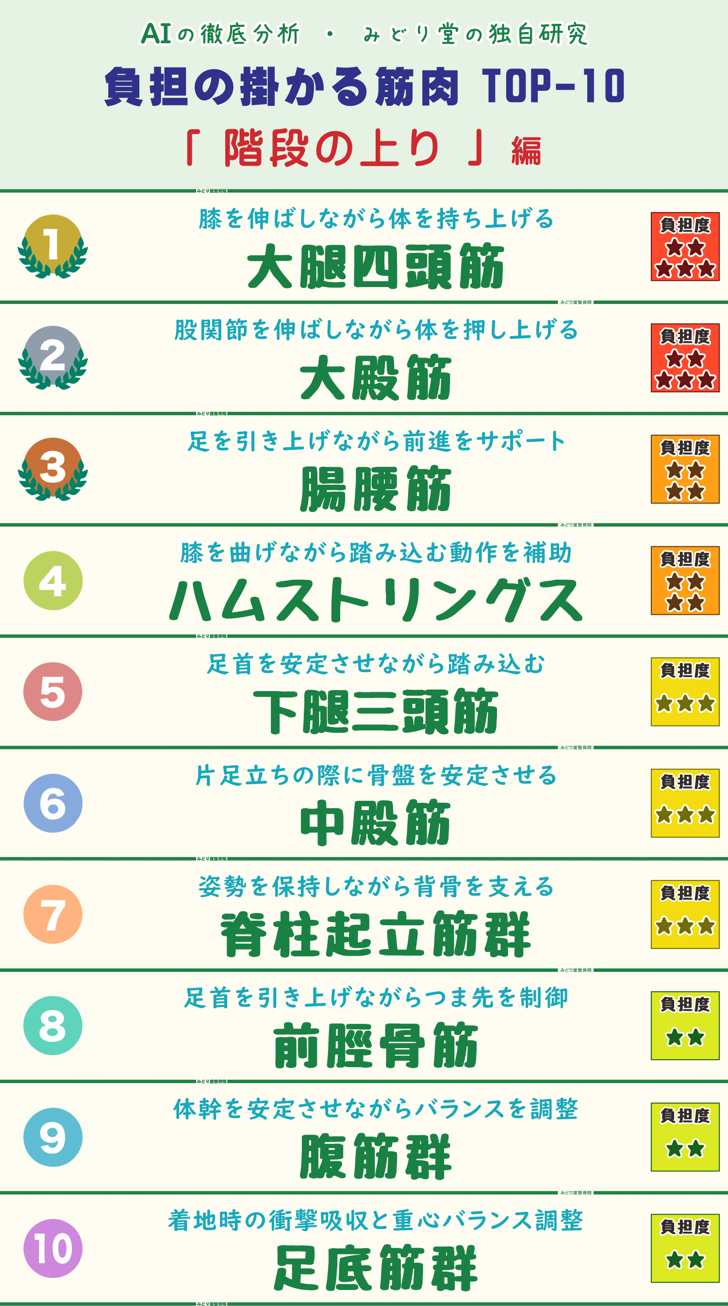上り階段の動作で負担がかかる筋肉トップ10のランキング表