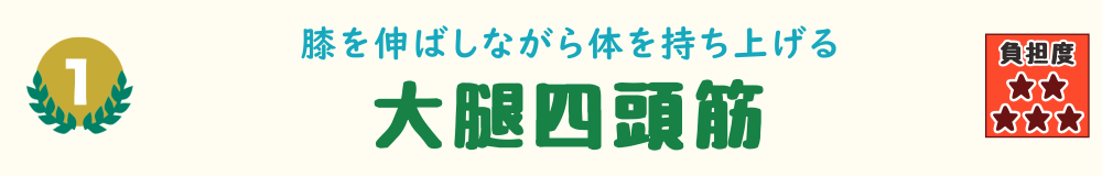 階段の上り動作で最も負担がかかる大腿四頭筋のバナー画像。膝を伸ばして体を持ち上げる動作を担う。