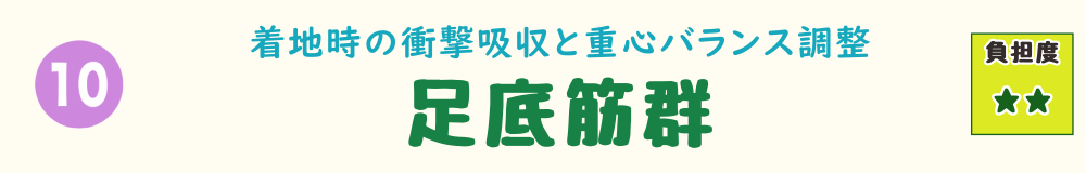 着地時の衝撃を吸収しバランスを調整する足底筋群を紹介する階段動作のバナー画像。