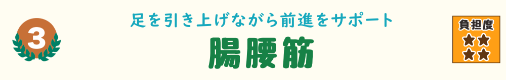 足を引き上げて階段を上がる動作に関わる腸腰筋を紹介するバナー画像。