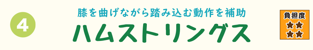 膝を曲げながら踏み込む動作を支えるハムストリングスを紹介する階段動作のバナー画像。