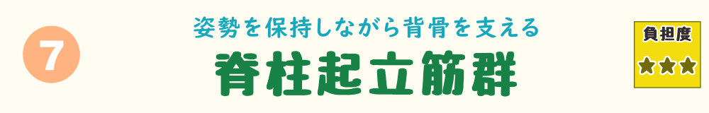 上り階段中に姿勢を保ち背骨を支える脊柱起立筋群のバナー画像。