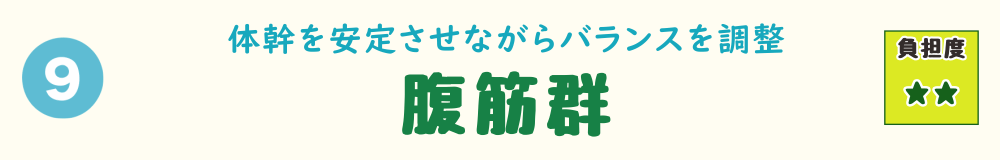 体幹を安定させて上半身のバランスを保つ腹筋群のバナー画像。