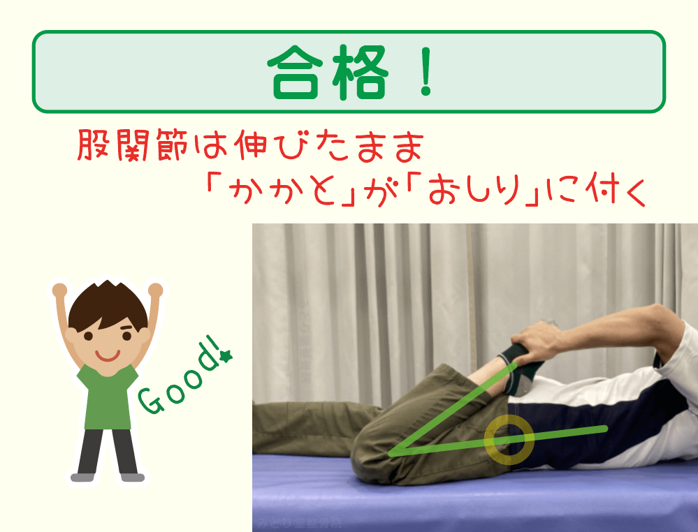 ひざの柔軟性の判定：股関節は伸びたまま「かかと」が「おしり」に付けば合格です。