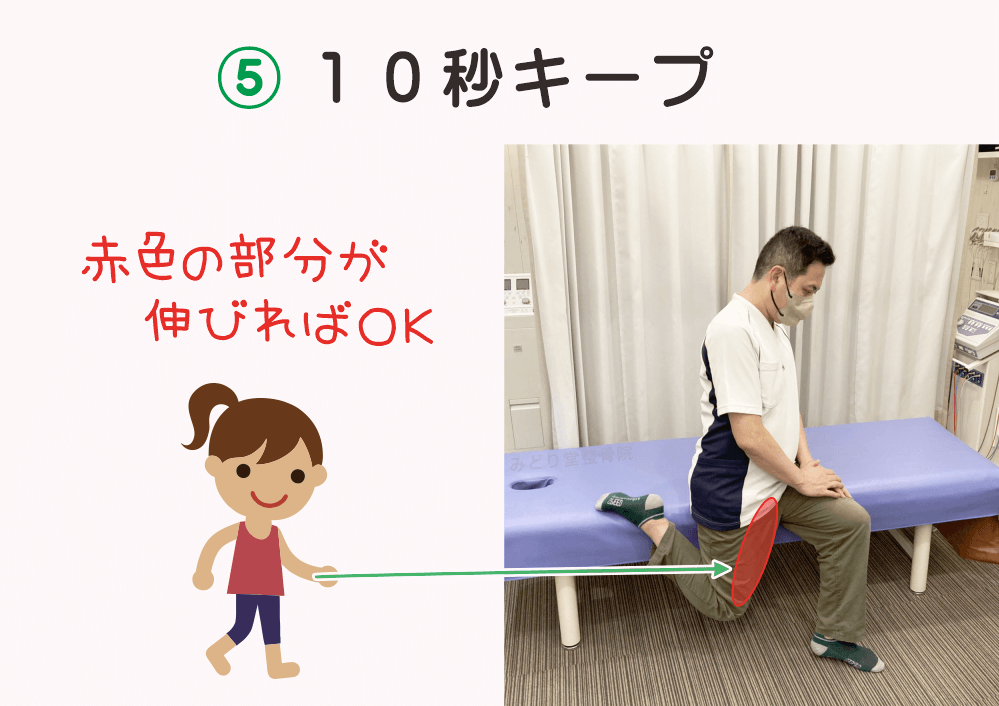 大腿四頭筋（太ももの前側）に伸び感を感じたら10秒キープします