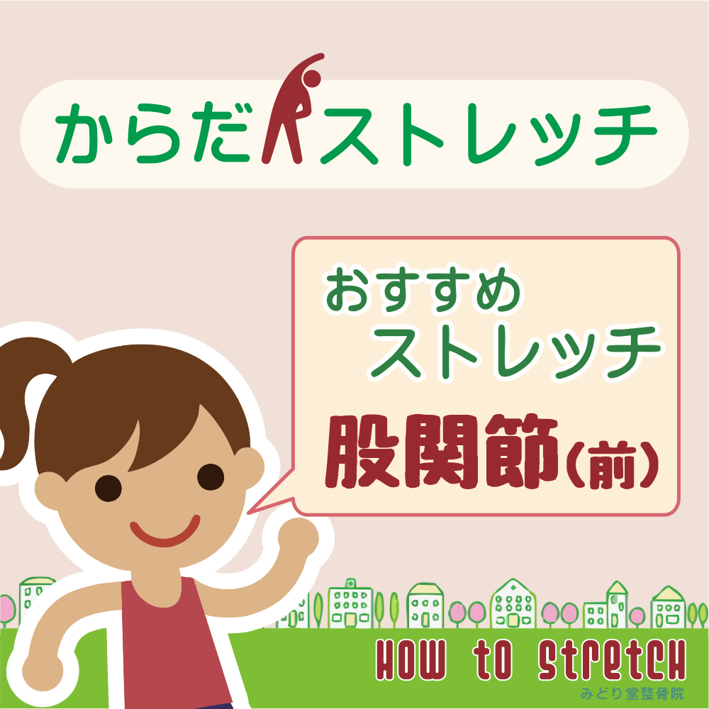 お勧めストレッチ「股関節（前側）」編