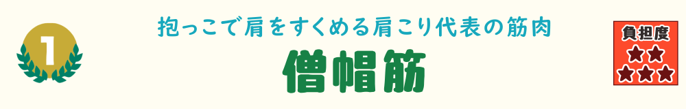 1位：僧帽筋。抱っこや授乳で肩がすくみやすく、首・肩まわりに負担がかかる筋肉を紹介するバナー画像
