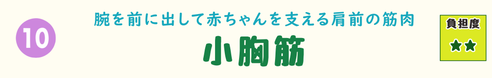 10位：小胸筋。前方に腕を出す動作で使われやすい、肩前の筋肉を紹介するバナー画像
