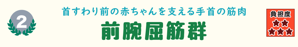 2位：前腕屈筋群。首すわり前の抱っこで常に緊張しやすい、手首から前腕にかけての筋肉を紹介するバナー画像