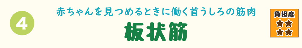 4位：板状筋。赤ちゃんを見守るときなど、頭の位置保持で緊張しやすい首の後ろの筋肉を紹介するバナー画像