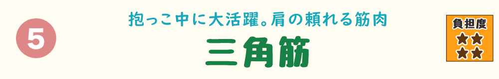 5位：三角筋。抱っこや物を取る動作で使われやすい、肩まわりの筋肉を紹介するバナー画像