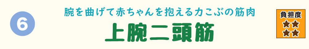 6位：上腕二頭筋。赤ちゃんを支える腕の曲げ姿勢で使われる、力こぶの筋肉を紹介するバナー画像