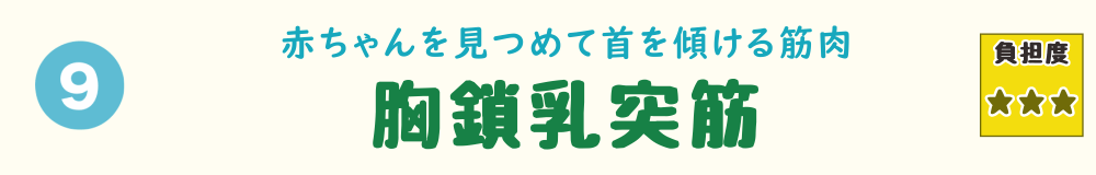 9位：胸鎖乳突筋。赤ちゃんの顔をのぞき込む姿勢で疲れやすい、首の前側から側面の筋肉を紹介するバナー画像
