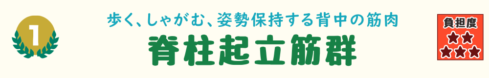 1位：脊柱起立筋群。前かがみ姿勢や中腰での世話が増える時期に、背骨沿いの体幹筋に負担がかかることを紹介するバナー画像