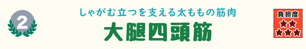 2位：大腿四頭筋。歩き始めた子どもを追いかけたり、抱き上げたりする動作で負担がかかる太ももの筋肉を紹介するバナー画像