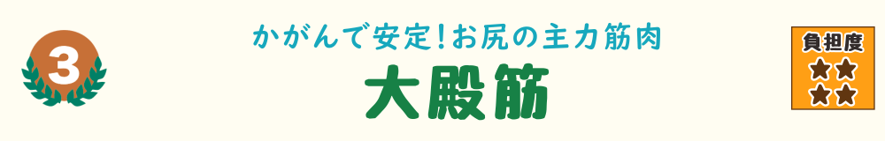 3位：大殿筋。しゃがむ・立つ動作や中腰姿勢で使われやすい、おしりの大きな筋肉を紹介するバナー画像