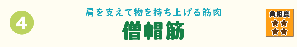 4位：僧帽筋。抱っこや荷物の持ち運びで肩がすくみやすく、首・肩に負担がかかる筋肉を紹介するバナー画像
