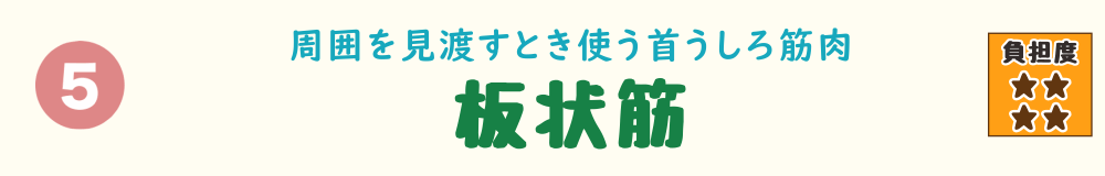 5位：板状筋。遊ぶ子どもを見守るなど、頭の位置を保つ姿勢で負担がかかりやすい首の後ろの筋肉を紹介するバナー画像