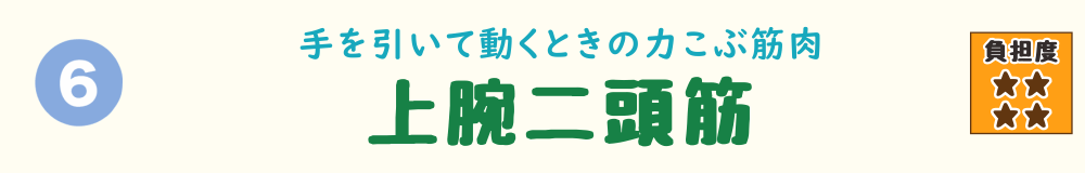 6位：上腕二頭筋。抱きかかえや持ち上げ動作で使われる、腕の前側の筋肉（力こぶ）を紹介するバナー画像