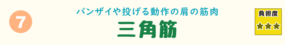 7位：三角筋。抱っこや物を取る動きなど、肩の上げ下げで使われる肩まわりの筋肉を紹介するバナー画像
