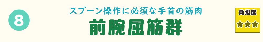 8位：前腕屈筋群。手をつないだり、細かな世話で使い続けやすい、手首〜前腕の筋肉を紹介するバナー画像
