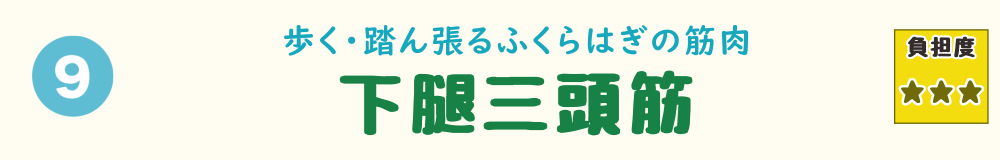 9位：下腿三頭筋。つま先立ちでの作業や歩行サポートで使われやすい、ふくらはぎの筋肉を紹介するバナー画像