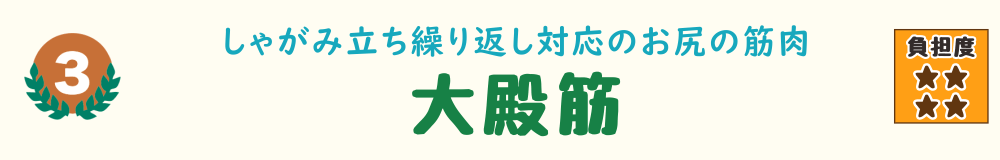 3位：大殿筋。しゃがむ・立つ動作やジャンプなどでよく使われる、お尻の大きな筋肉を紹介するバナー画像