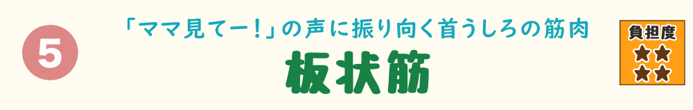 5位：板状筋。振り向く・上を向くなど、首の後ろの動きで使われやすい筋肉を紹介するバナー画像