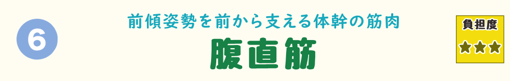 6位：腹直筋。転びそうな子どもを支えたり抱き寄せたりする動作で、おなかの中央にある筋肉に負担がかかることを紹介するバナー画像