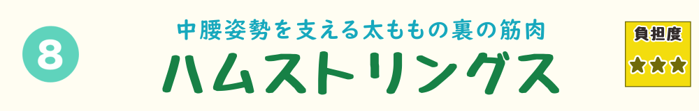 8位：ハムストリングス。立ちしゃがみを繰り返す動きで使われ続ける、太ももの裏の筋肉を紹介するバナー画像