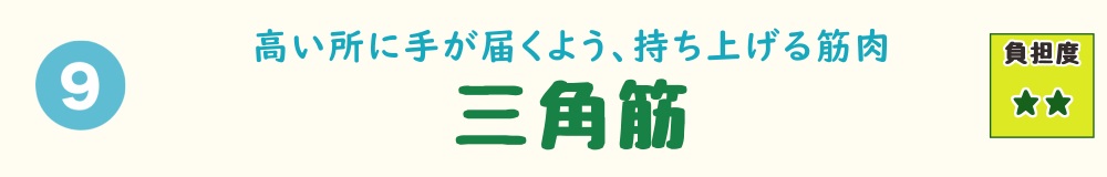 9位：三角筋。高い鉄棒に手を伸ばす子どもを持ち上げるなど、肩の筋肉に負担がかかることを紹介するバナー画像