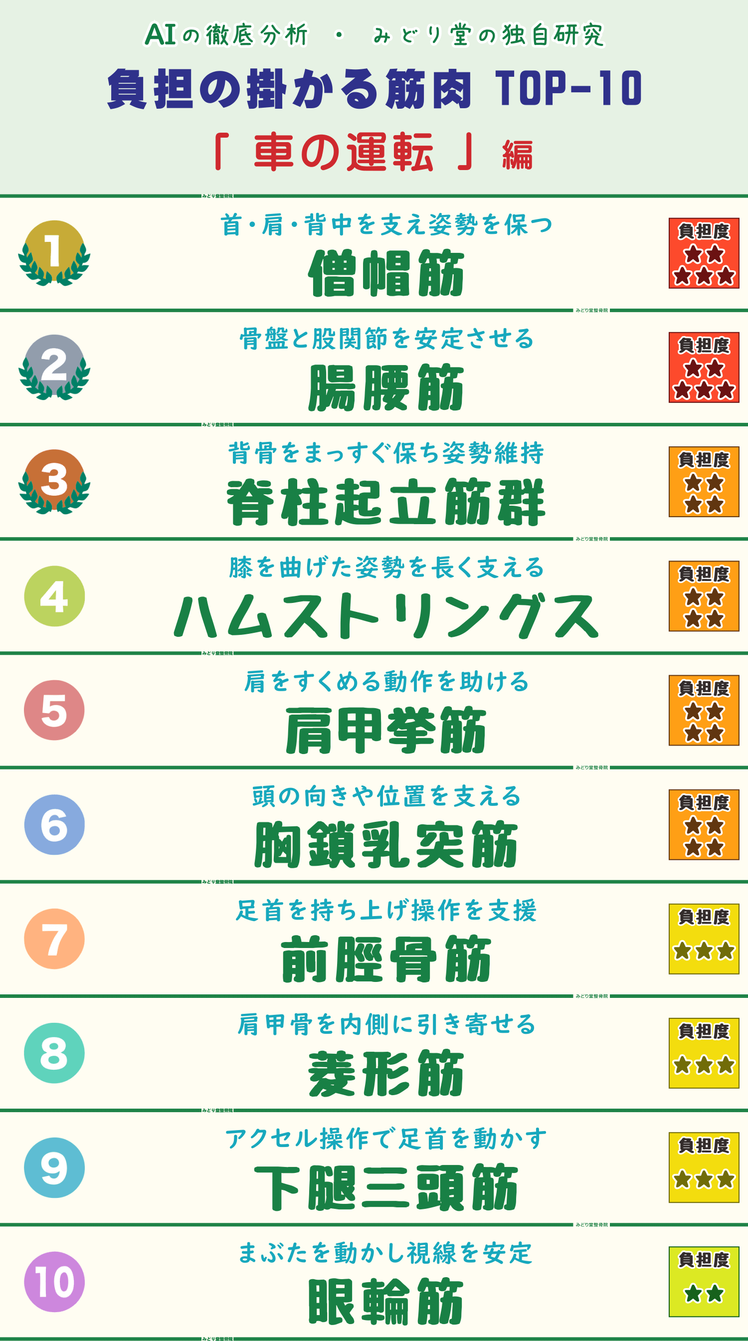 車の運転姿勢で負担がかかる筋肉トップ10のランキング表