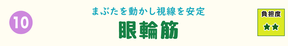 車の運転姿勢で負担がかかる眼輪筋のバナー画像。長時間の視線集中で酷使される目の筋肉