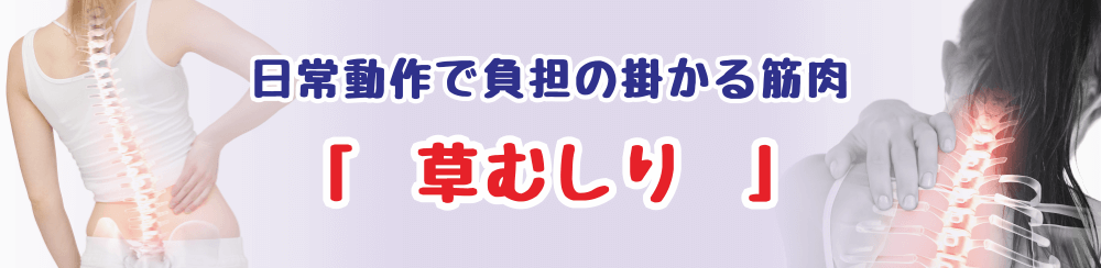 草むしりで疲れやすい筋肉と効果的なセルフケア方法を解説するページのタイトル画像