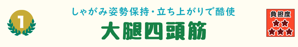 1位：大腿四頭筋。草むしりでしゃがみ姿勢を維持・立ち上がり時に酷使される太ももの筋肉を紹介するバナー画像