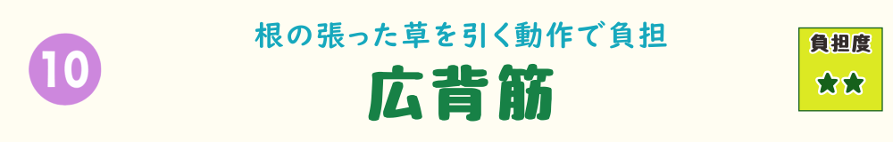 10位：広背筋。根の張った雑草を引き抜くときに負担がかかる背中の大きな筋肉を紹介するタイトル画像