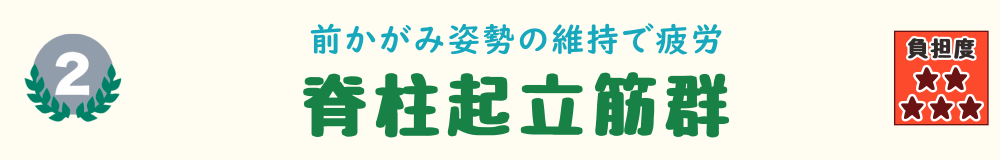 2位：脊柱起立筋群。草むしり中の前かがみ姿勢で疲労がたまりやすい背中の筋肉を紹介するバナー画像
