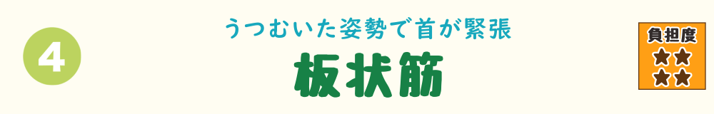 4位：板状筋。草むしり時のうつむいた姿勢で首が緊張。負担がかかる板状筋の特徴を示すタイトル画像