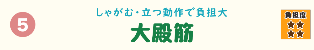 5位：大殿筋。草むしりのしゃがむ・立ち上がる動作で負担がかかるお尻の筋肉を紹介するバナー画像