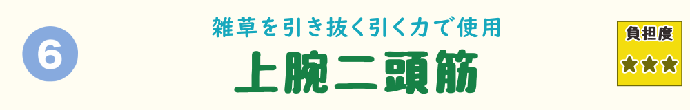 6位：上腕二頭筋。雑草を引き抜く草むしり動作で酷使される腕の筋肉を解説。　タイトル画像