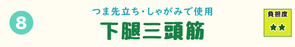 8位：下腿三頭筋。草むしりでつま先立ちやしゃがみ姿勢の際に使われるふくらはぎの筋肉を示す画像
