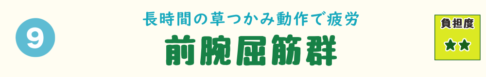9位：前腕屈筋群。草むしり中の草をつかむ繰り返し動作で疲労しやすい前腕の筋肉を紹介するバナー画像