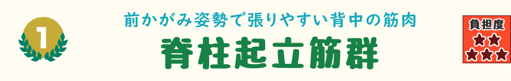 1位：脊柱起立筋群。お風呂掃除での前かがみ姿勢が続くことで、背中の深部に負担がかかる様子を解説するバナー画像