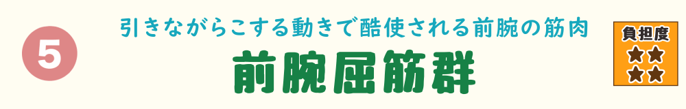 5位：前腕屈筋群。スポンジやブラシを握りしめる動作が続き、手首〜前腕に負担がかかる状態を解説するバナー画像