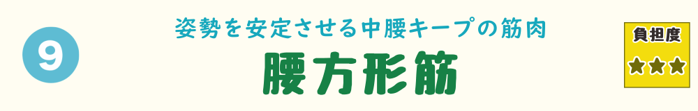 9位：腰方形筋。浴槽内や壁面の掃除で体をひねる動きが多く、腰の片側に偏った負担がかかる様子を説明するバナー画像