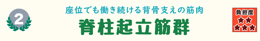 2位：脊柱起立筋群。長時間の座り姿勢で疲労がたまりやすい背中の筋肉を紹介するバナー画像